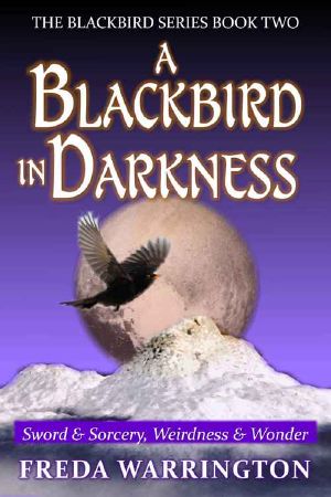 [Blackbird 02] • A Blackbird in Darkness (Book 2)